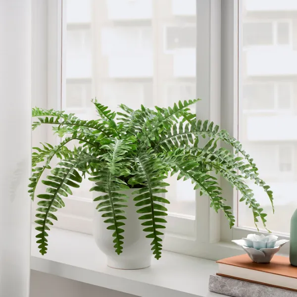 Искусственное растение Ikea Fejka Green/ Высота (см) - 15 photo 4 Искусственное растение Ikea Fejka Green/ Высота (см) - 15 photo 4