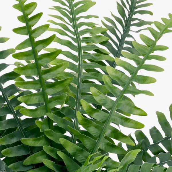 Искусственное растение Ikea Fejka Green/ Высота (см) - 15 photo 5 Искусственное растение Ikea Fejka Green/ Высота (см) - 15 photo 5