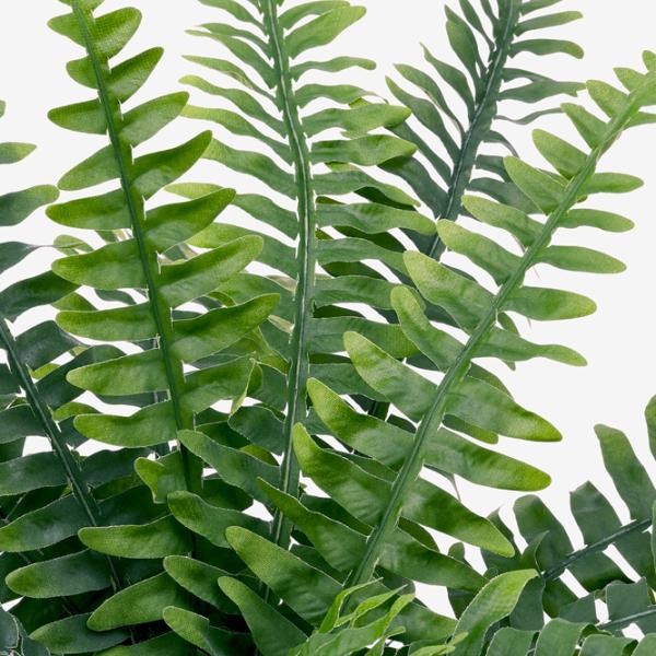 Искусственное растение Ikea Fejka Green/ Высота (см) - 15 photo 5 Искусственное растение Ikea Fejka Green/ Высота (см) - 15 photo 5