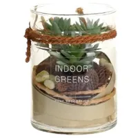 Plantă artificială NVT 24593 Green/ Înălțimea (cm) - 10