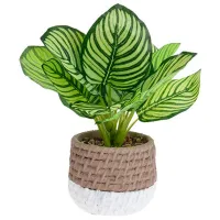 Искусственное растение NVT 47537 Green/ Высота (см) - 28