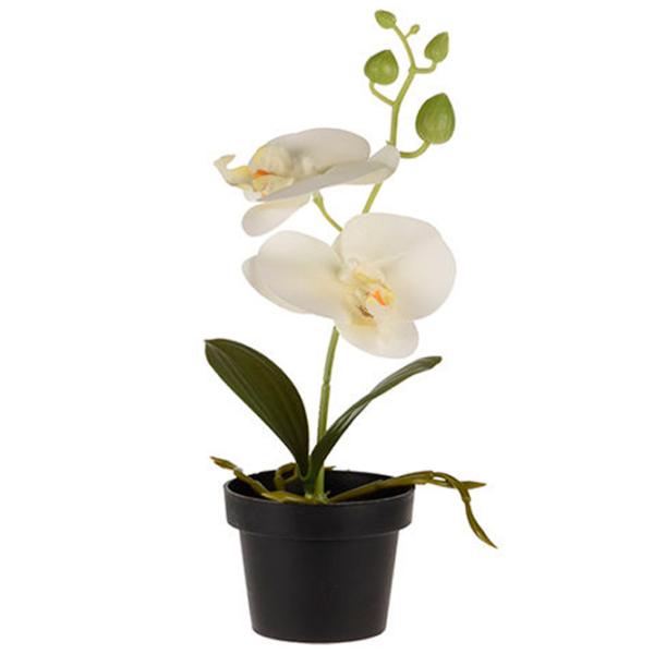 Plantă artificială NVT 47537 White/ Înălțimea (cm) - 25 photo 1 Plantă artificială NVT 47537 White/ Înălțimea (cm) - 25 photo 1