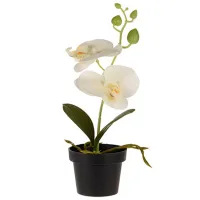 Искусственное растение NVT 47537 White/ Высота (см) - 25