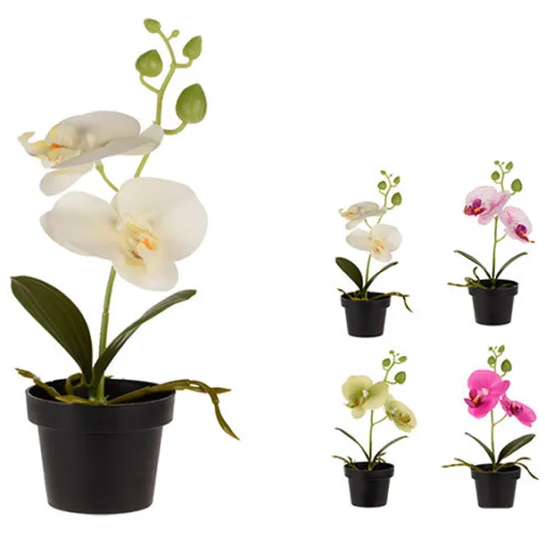 Plantă artificială NVT 47537 White/ Înălțimea (cm) - 25 photo 2 Plantă artificială NVT 47537 White/ Înălțimea (cm) - 25 photo 2