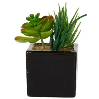 Plantă artificială NVT 08649 Green/ Înălțimea (cm) - 15