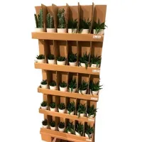 Plantă artificială NVT 42768 Green/ Înălțimea (cm) - 23