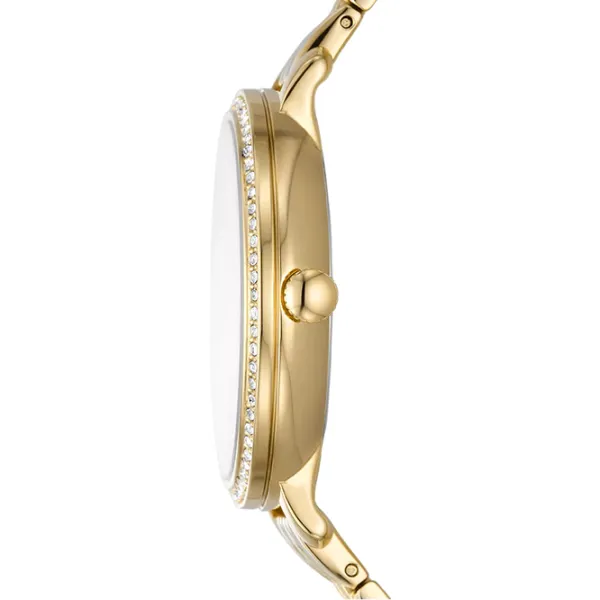 Наручные часы для женщин FOSSIL Jacqueline Кварцевый/ 36 мм photo 3 Наручные часы для женщин FOSSIL Jacqueline Кварцевый/ 36 мм photo 3