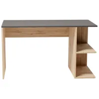 Masă de birou Smartex COMP PAL/ Brown