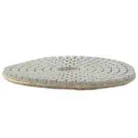 Disc diamantat Profmet 349110 Pentru șlefuire pe umed photo 2