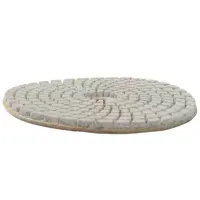 Disc diamantat Profmet 349122 Pentru șlefuire pe umed photo 2