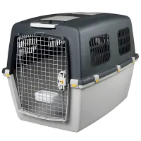 Container pentru câine Beeztees Gulliver 4 Plastic