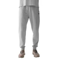 Спортивные брюки для мужчин 4F 4FWSS24TTROM603 XXL/ Серый