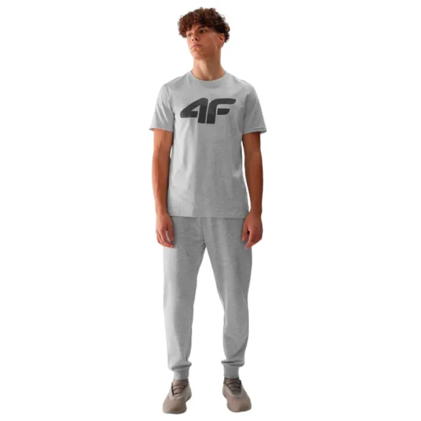 Спортивные брюки для мужчин 4F 4FWSS24TTROM603 XXL/ Серый photo 2
