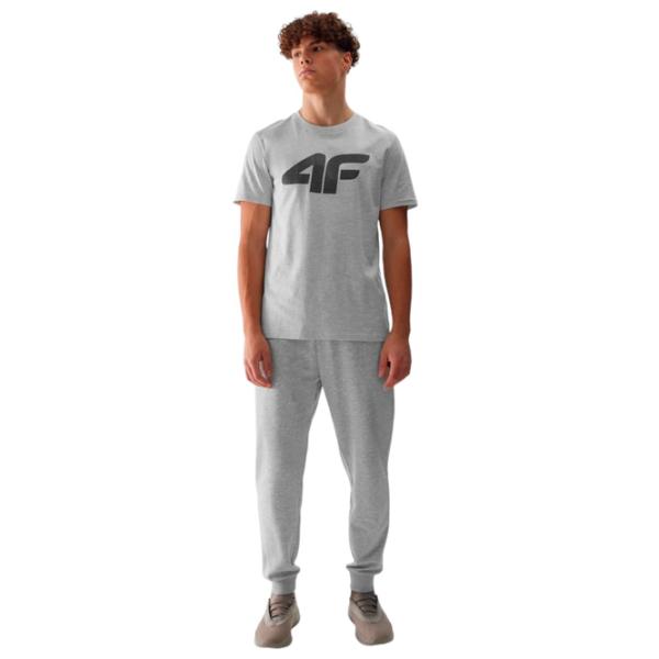 Спортивные брюки для мужчин 4F 4FWSS24TTROM603 XXL/ Серый photo 2