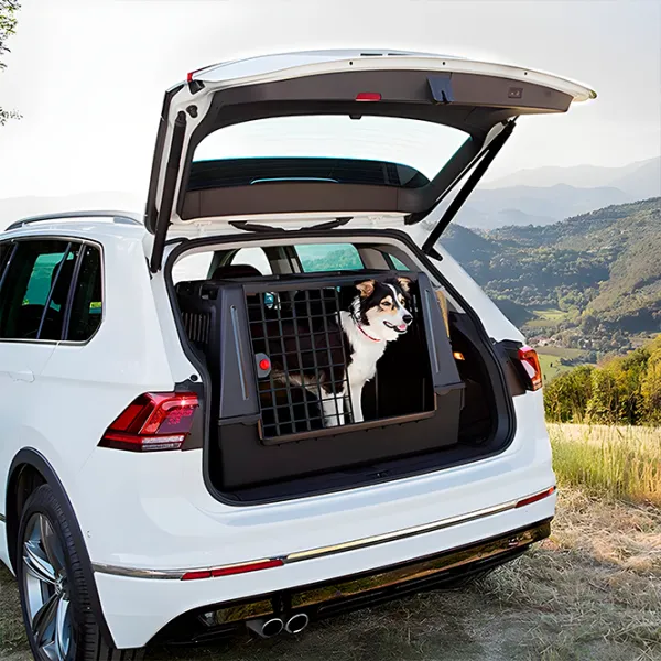 Контейнер для кошек Ferplast ATLAS CAR 100 SCENIC Термопластик photo 5