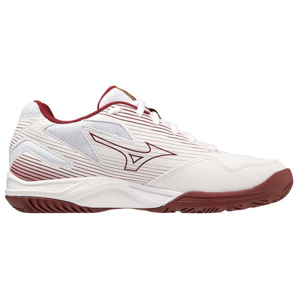 Кроссовки для женщин Mizuno Cyclone Speed 4 Весна/ White photo 2