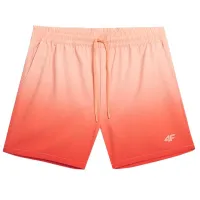 Pantaloni scurți 4F 4Fss23ubdsm026 L