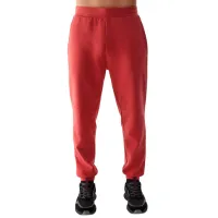 Спортивные брюки для мужчин 4F 4FWSS24TTROM648 XL/ Красный