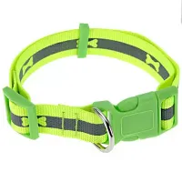 Чокер Dogs 354923 для собаки