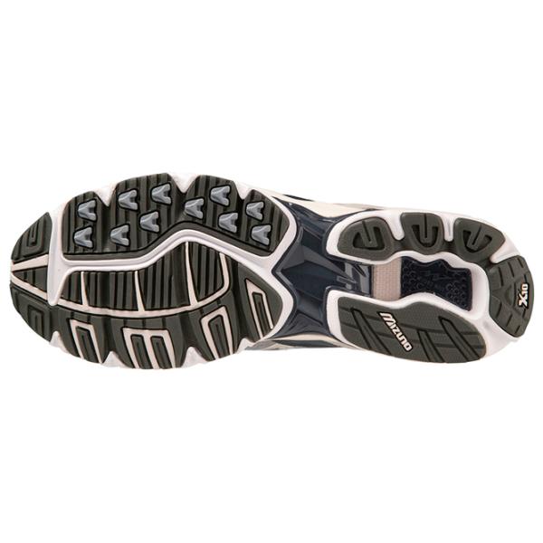 Adidași pentru bărbați Mizuno Wave Rider 10 42/ Gray photo 3