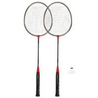 Set de palete Spokey 83371 Pentru badminton / Drept / Metal