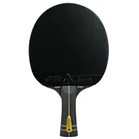Paletă Joola Infinity Carbon Pentru tenis de masă/ Drept