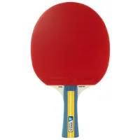 Ракеткa Joola Team Master Для настольного тенниса/ Прямая/ Резина