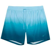 Спортивные шорты 4F 4FWSS24UBDSM089 XXL