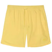 Șorțuri sport 4F 4FWSS24UBDSM092 M