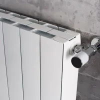 Radiator secțional Radiatori 2000 Plus Evo Aluminiu photo 3