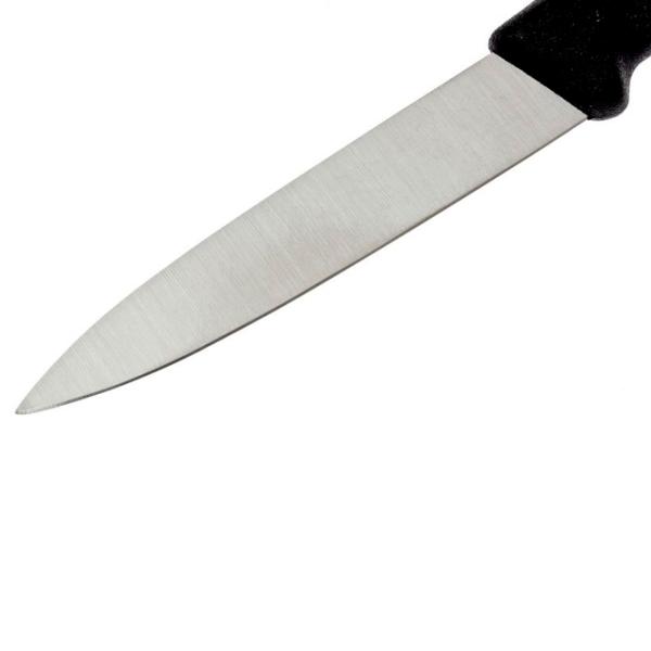 Набор ножей Victorinox 6.7603.B Нержавеющая сталь/ Серебристый photo 2 Набор ножей Victorinox 6.7603.B Нержавеющая сталь/ Серебристый photo 2