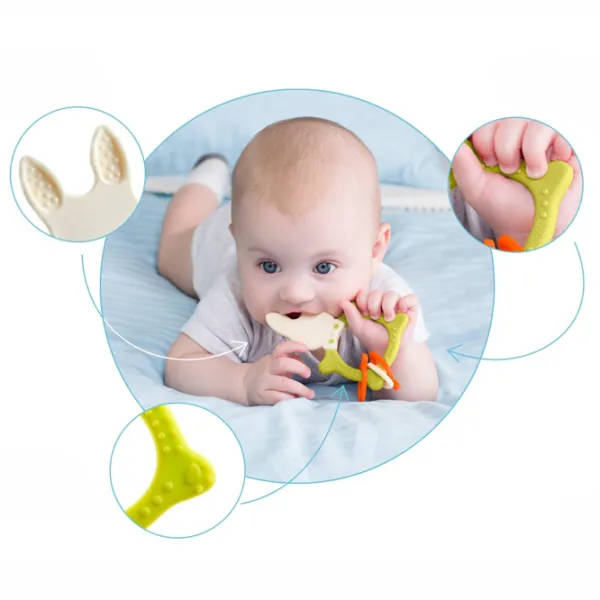 Jucărie pentru dentiție Roxy Kids RBT-001GN de la 3 luni photo 2