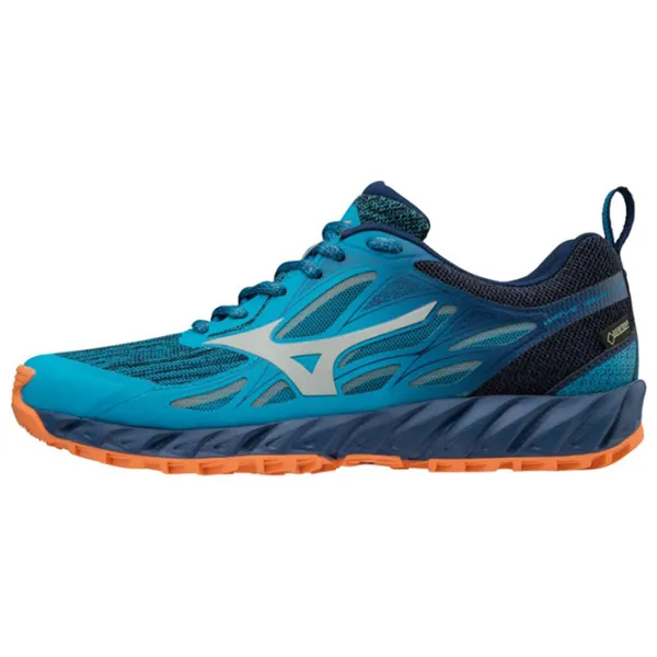 Кроссовки для женщин Mizuno Wave Ibuki GTX Весна/ Blue photo 1 Кроссовки для женщин Mizuno Wave Ibuki GTX Весна/ Blue photo 1