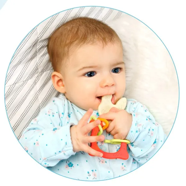 Jucărie pentru dentiție Roxy Kids RBT-001R de la 3 luni photo 2