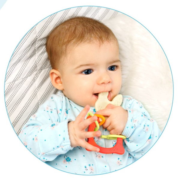 Jucărie pentru dentiție Roxy Kids RBT-001R de la 3 luni photo 2
