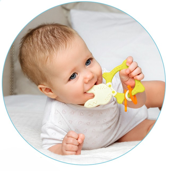 Jucărie pentru dentiție Roxy Kids RBT-001R de la 3 luni photo 4