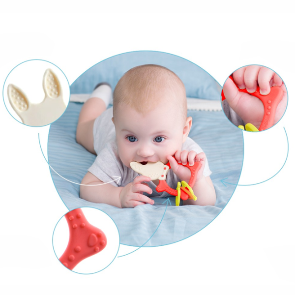 Jucărie pentru dentiție Roxy Kids RBT-001R de la 3 luni photo 5