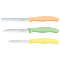 Набор ножей Victorinox 6.7116.34L2 Нержавеющая сталь / Серебряный