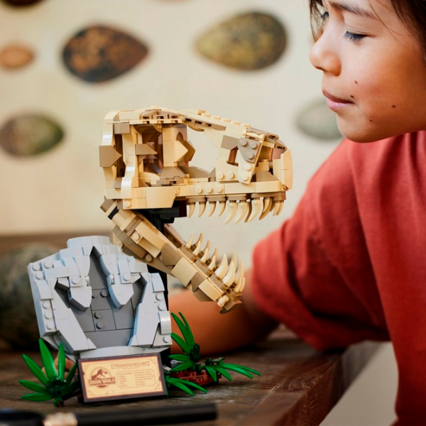 Constructor LEGO Dinosaur Fossils T. rex Skull Dinozaur/ Multicolor photo 7