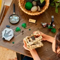 Constructor LEGO Dinosaur Fossils T. rex Skull Dinozaur/ Multicolor photo 10