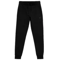 Спортивные брюки для мужчин 4F 4faw23ttrom451 S/ Black
