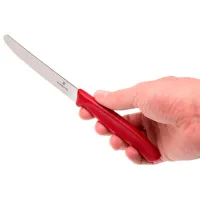 Набор ножей Victorinox 6.7111.3 Нержавеющая сталь / Серебряный photo 4