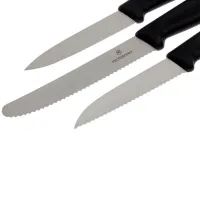 Набор ножей Victorinox 6.7113.3 Нержавеющая сталь / Серебряный photo 2