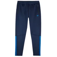 Спортивные брюки для мужчин 4F 4FWSS24TFTRM670 XXL/ Тёмно-синий