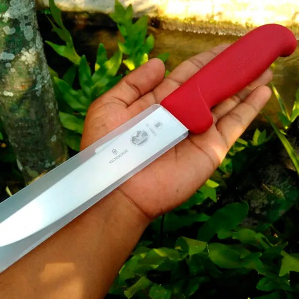 Кухонный нож Victorinox 5.6001.15 Нержавеющая сталь/ Серебристый photo 2 Кухонный нож Victorinox 5.6001.15 Нержавеющая сталь/ Серебристый photo 2