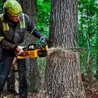 Fierăstrău cu lanţ Dewalt DCMCS575X1 cu acumulator/ Yellow photo 6