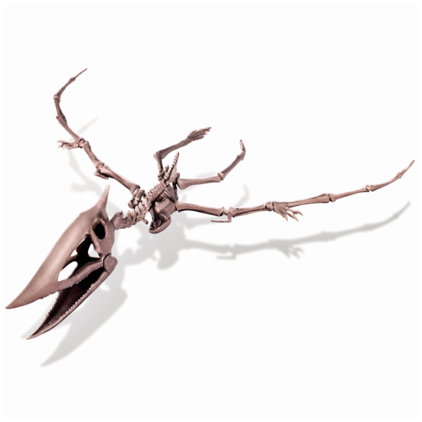 Set de creație 4M KidzLabs Dig a Pteranodon skeleton 03459 3+/ Multicolor Multicolor photo 4