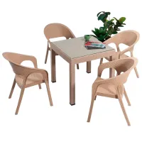 Scaun de grădină Moda Life chair Plastic/ Plastic/ Cappucino photo 2