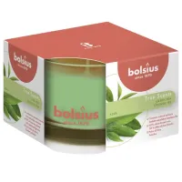 Lumânare Bolsius TS Apple Cinnamon Green tea/ Parafină