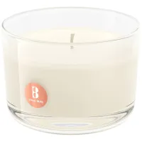 Свеча Bolsius TS Apple Cinnamon Cotton Linen/ Парафин photo 4